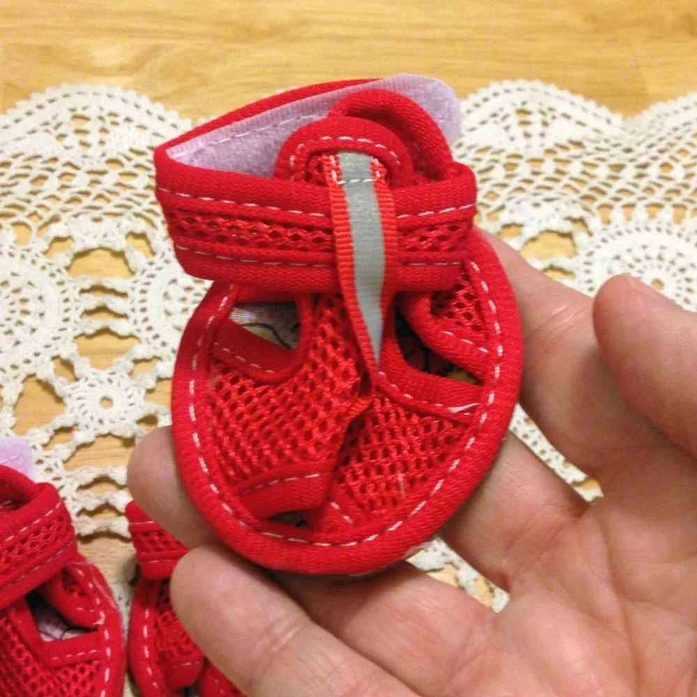 Adorable itty bitty doggie mesh shoes